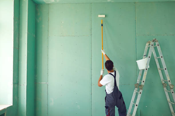 Reliable Meadowbrook, CA Mold Removal Solutions